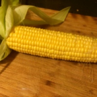 The corn is sweet an juicy!