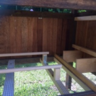 Inside showing the mesh floor, nesting boxes and perches