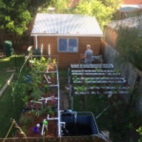 The growing area of our aquaponics system … grow beds on the left and NFT rails on the right (Garden Guru at the potting table—back of shot)